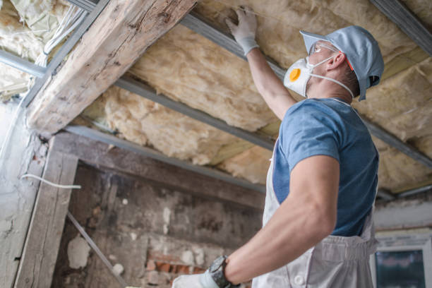 Best Attic Insulation Installation  in Shreve, OH